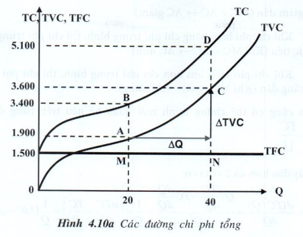 Cách tính TVC trong kinh tế vi mô