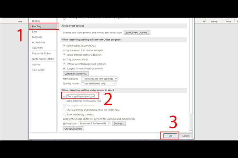 Steps to enable red dashes in Word when needed: step 2