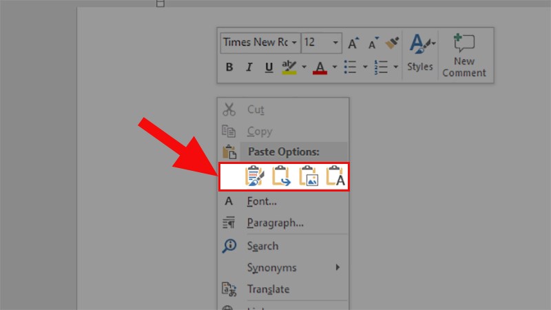 Options for pasting with various formatting choices will appear under "Paste Options."