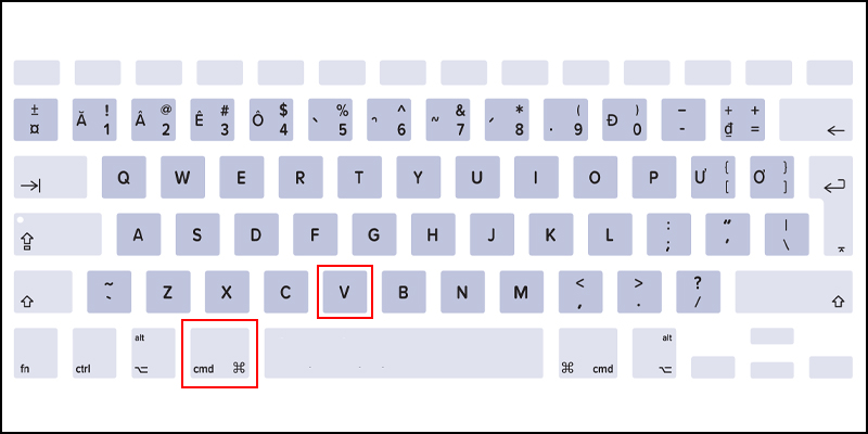 Press Cmd + V to paste