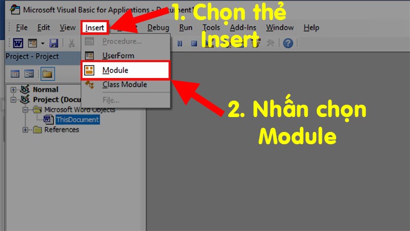 Select the Insert tab > Select Module to open the VBA code entry interface