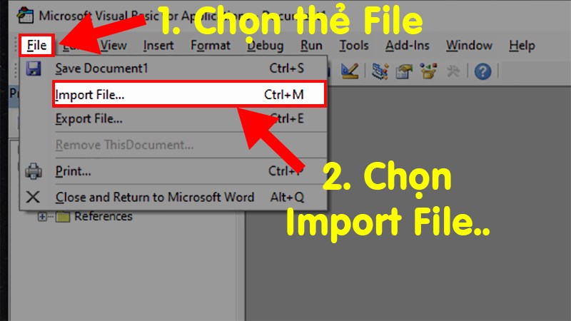 To use this file, you just need to go back to the Microsoft Visual Basic interface > Select the File tab > Select Import File ...