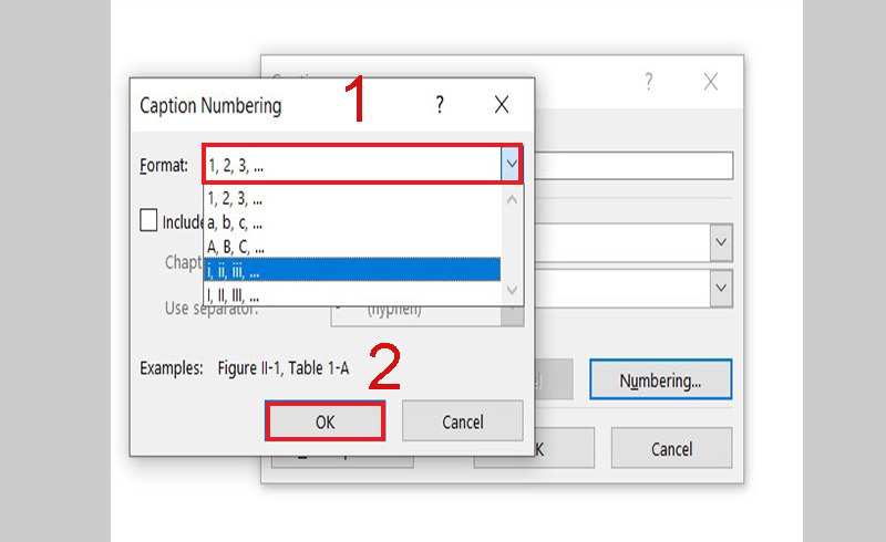 Select the type of number format you want in Numbering > Click OK.