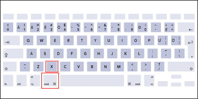 Press Cmd + X key combination to cut the data